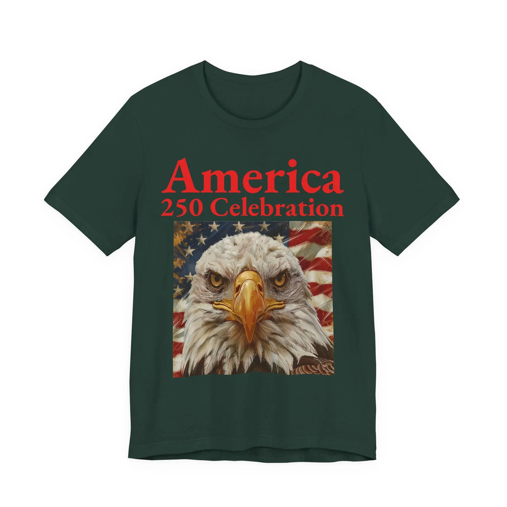 America 250 Celebration Eagle T-Shirt 1776 2026 Anniversary USA 250th Anniversary T Shirt Eagle Patriotic Tee 250th anniversary - 250 USA Celebration