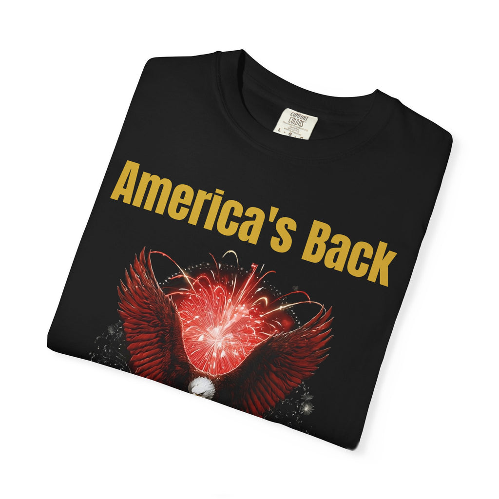 America's Back Eagle T-Shirt — Patriotic USA Fireworks Tee