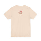 America 250 Celebration Eagle T-Shirt 1776 2026 Anniversary USA 250th Anniversary T Shirt Eagle Patriotic Tee 250th anniversary