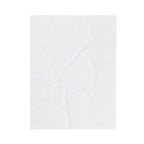 American Flag Bald Eagle Velveteen Plush Blanket | Patriotic Eagle Throw