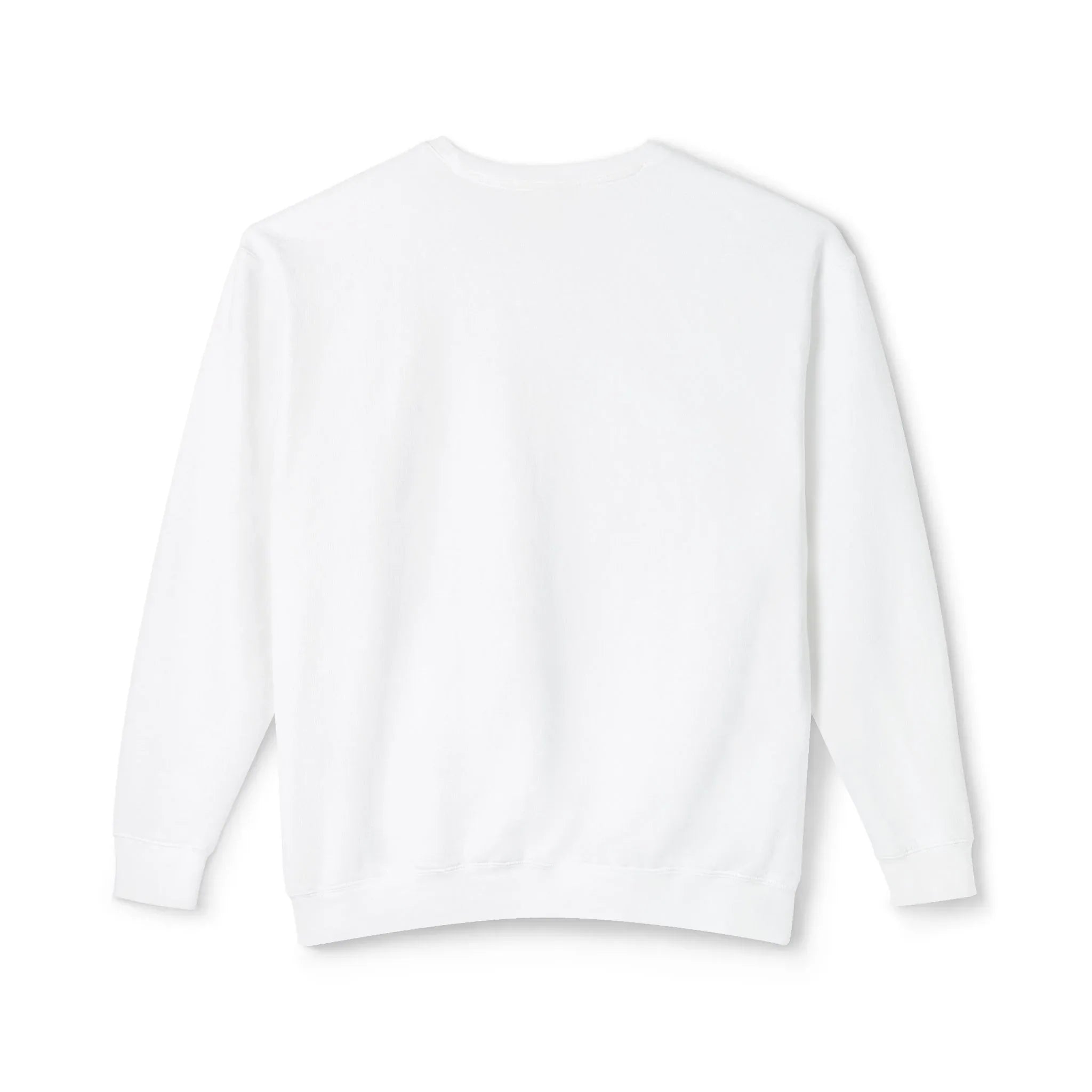 Cute Axolotl Illustration Sweatshirt | Pastel Aquatic Amphibian Design - 250 USA Celebration