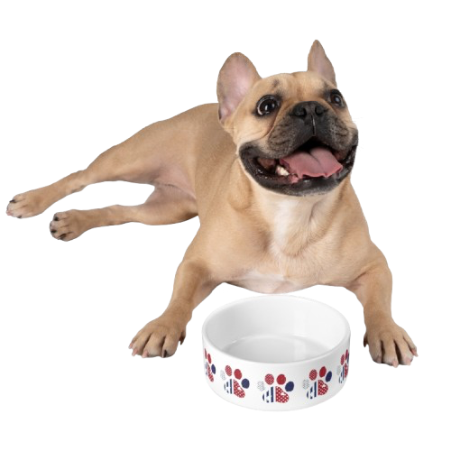 Patriot Paws 1776 Commemorative Ceramic Pet Bowl