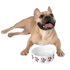 Patriot Paws 1776 Commemorative Ceramic Pet Bowl
