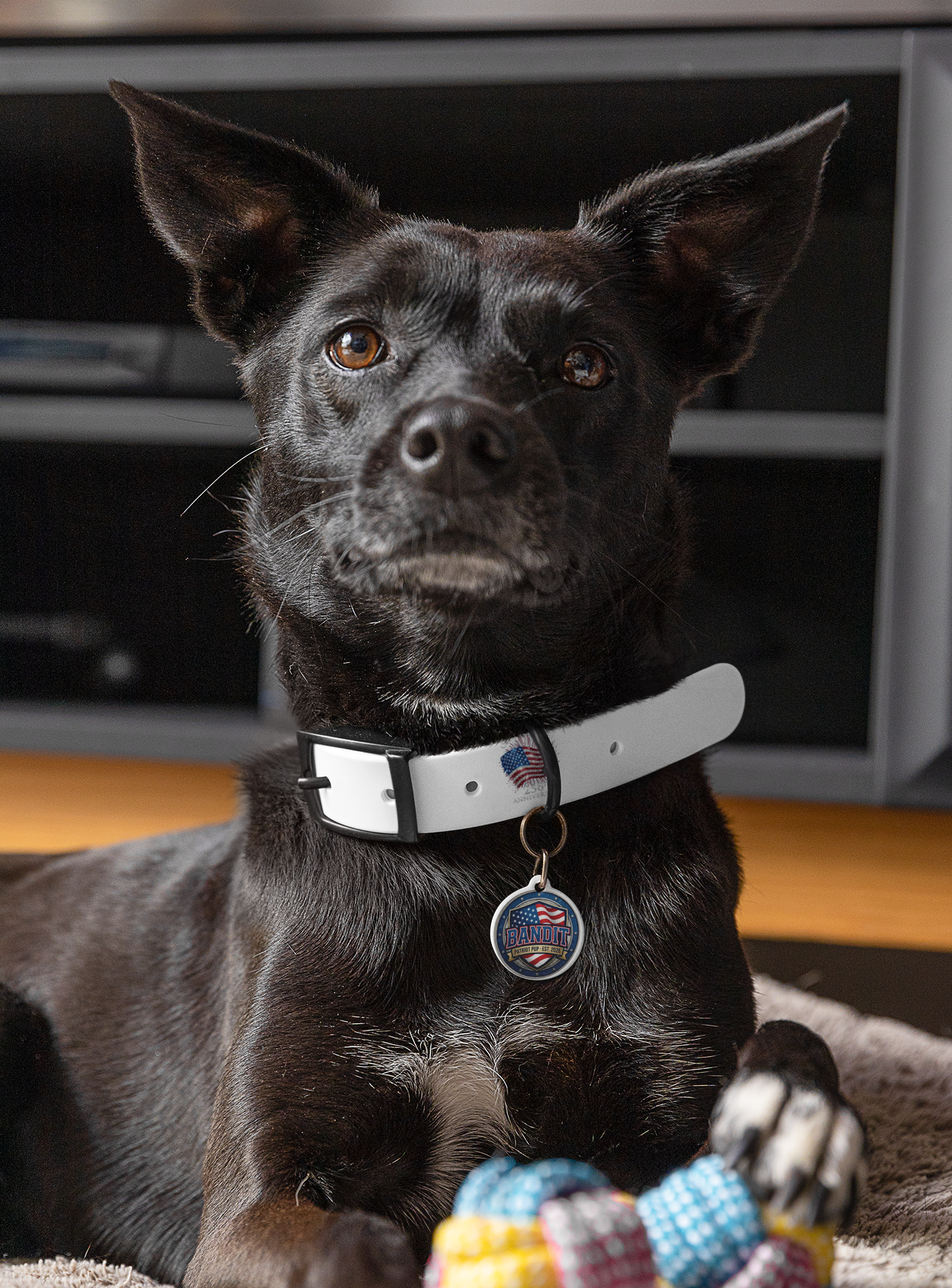 Customized Patriot Pup 1776 Commemorative Pet ID Tag
