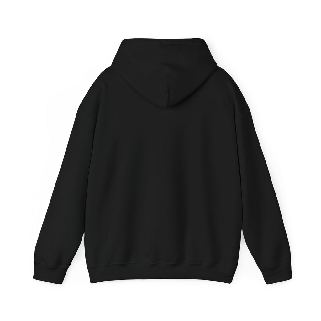 American Flag Hoodie "Established 1776, Perfected 2026"