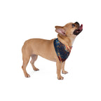 American Flag Fireworks Pet Bandana