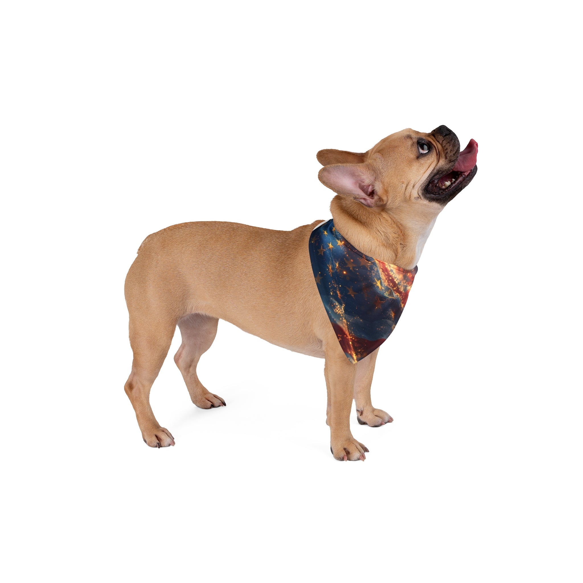 American Flag Fireworks Pet Bandana