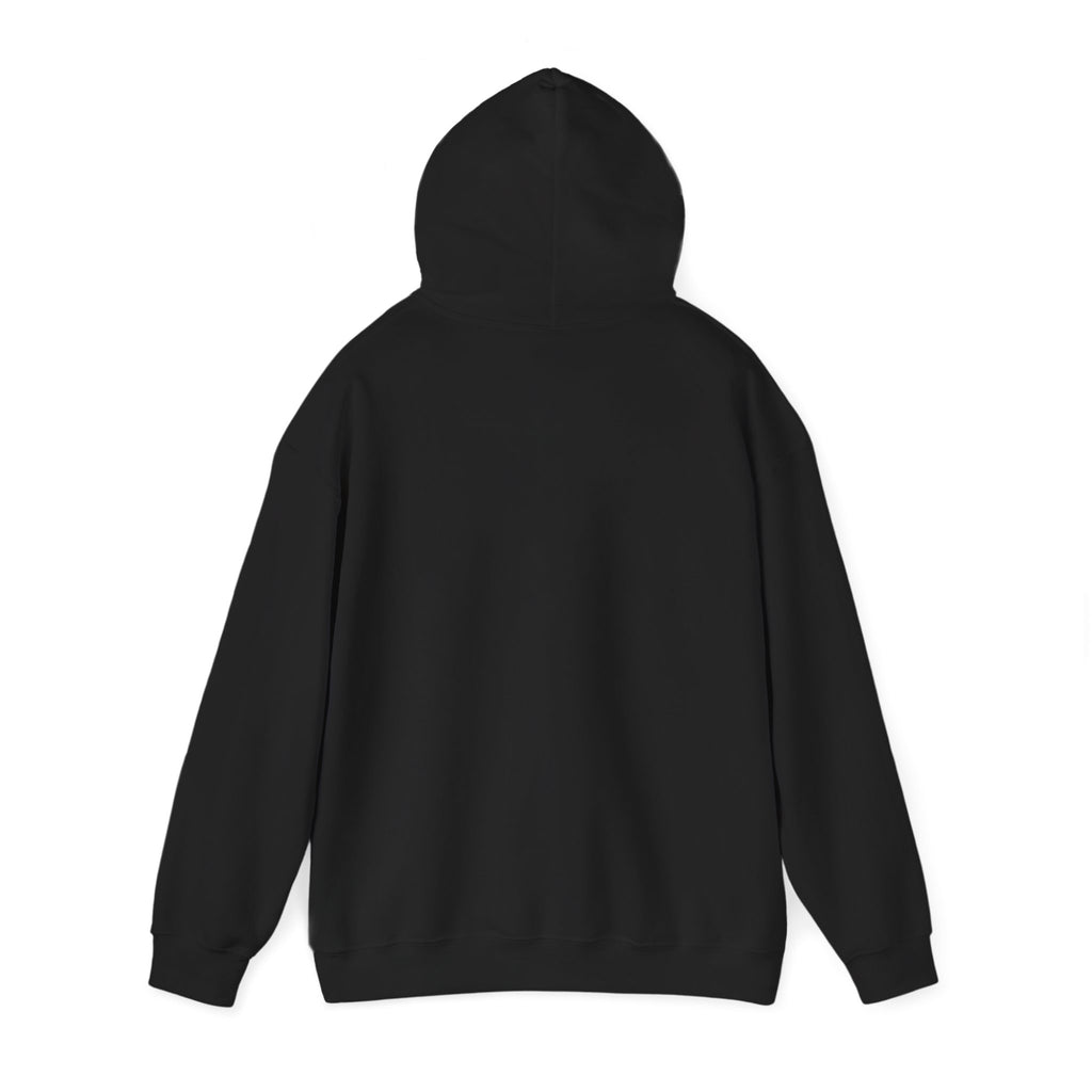 American Flag Hoodie "Established 1776, Perfected 2026"