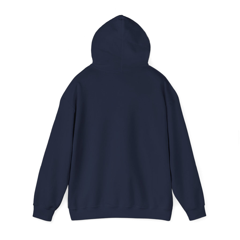 American Flag Hoodie "Established 1776, Perfected 2026"