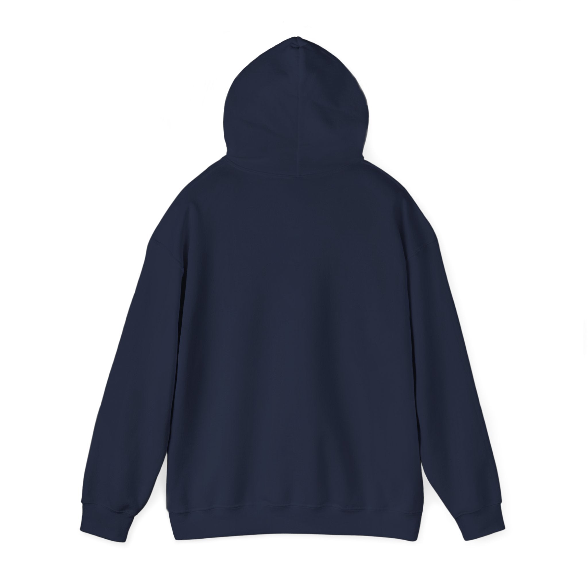 American Flag Hoodie "Established 1776, Perfected 2026"