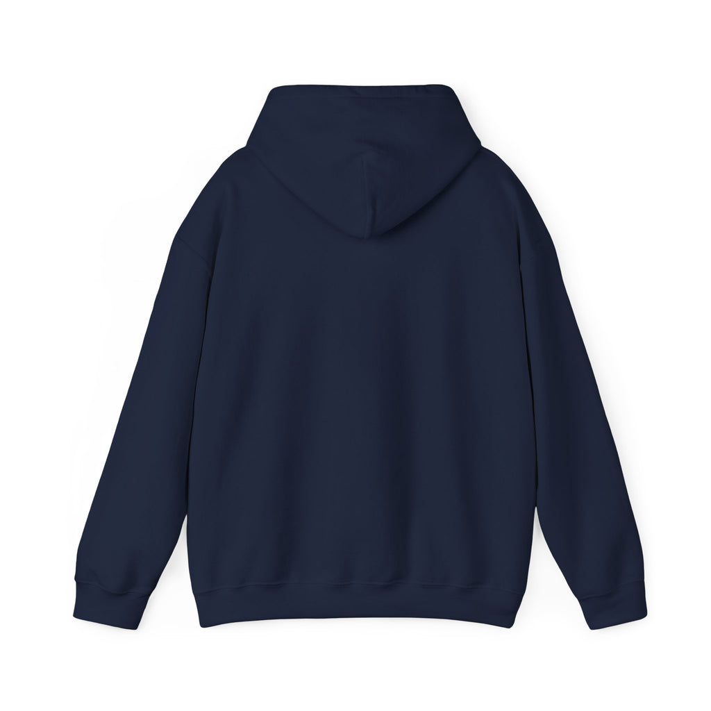 American Flag Hoodie "Established 1776, Perfected 2026"
