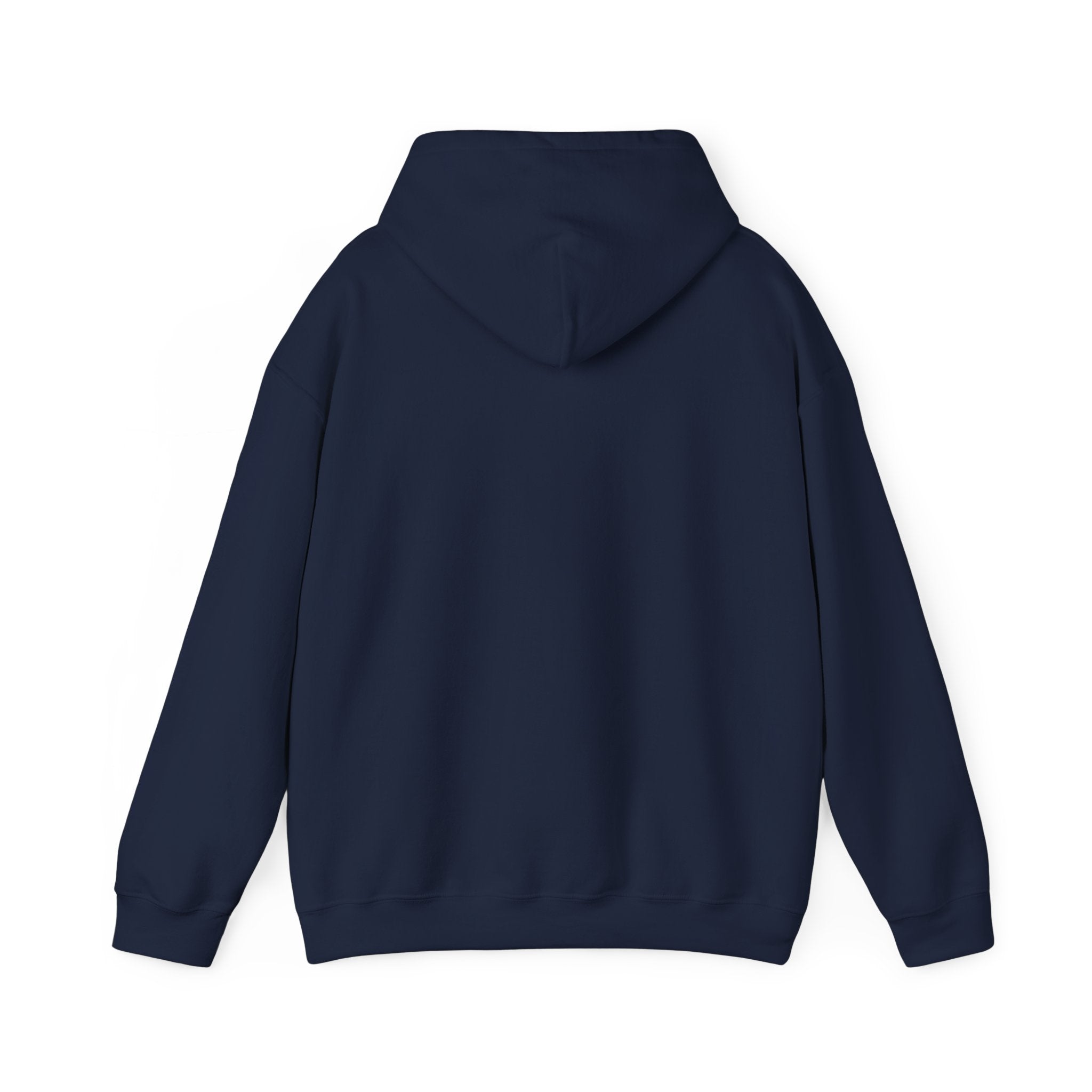 American Flag Hoodie "Established 1776, Perfected 2026"