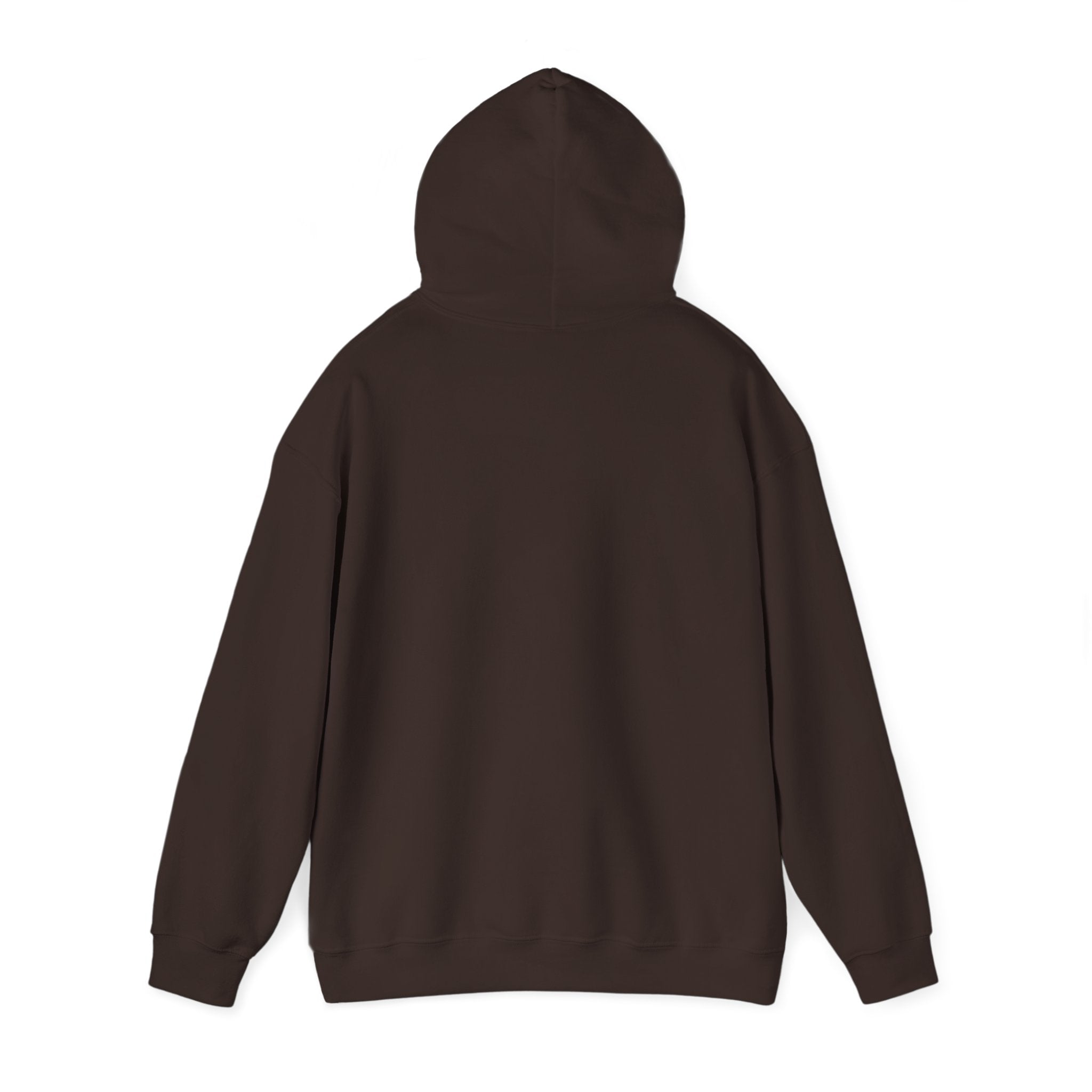 American Flag Hoodie "Established 1776, Perfected 2026"