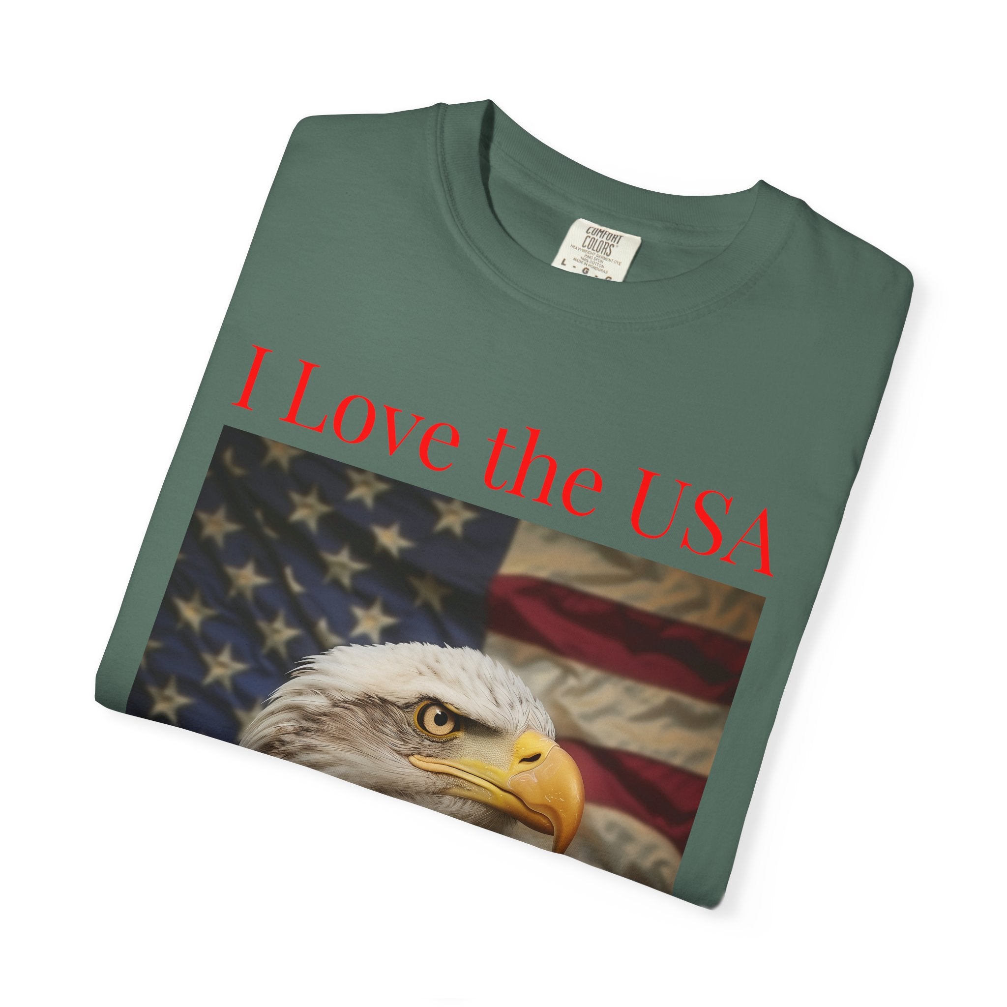 Patriotic Eagle T-Shirt — "I Love the USA 1776–2026"