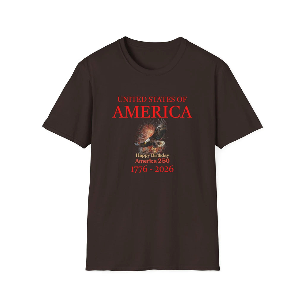 Unisex Softstyle T-Shirt - 250 USA Celebration