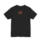 America 250 Celebration Eagle T-Shirt 1776 2026 Anniversary USA 250th Anniversary T Shirt Eagle Patriotic Tee 250th anniversary