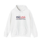 America 250 USA Celebration Hoodie